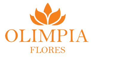 Olimpia Flores