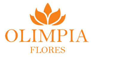 Olimpia Flores